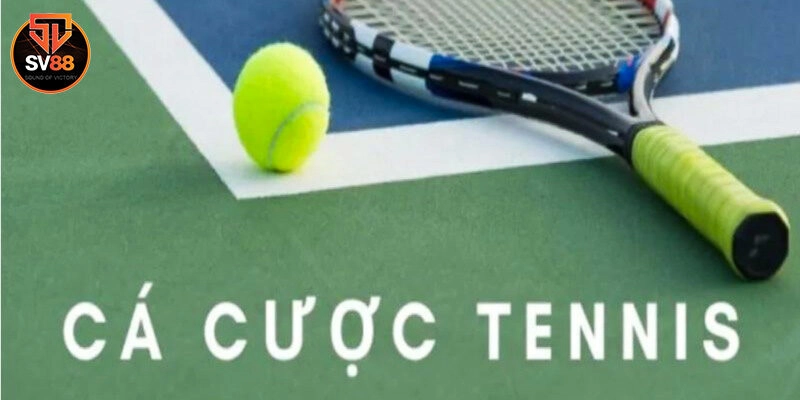 Cá cược tennis và những thông tin bạn cần biết