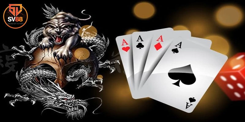 Bật mí cách chơi rồng hổ chi tiết dành cho newbie