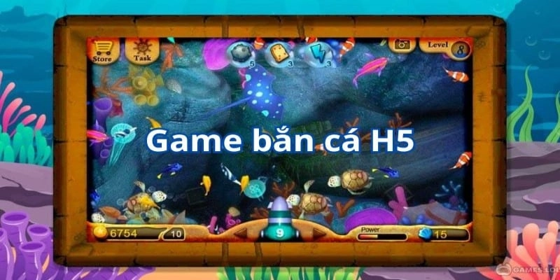 Các vấn đề quan trọng người mới tham gia cần biết