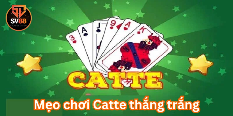 Mẹo Chơi Catte Thắng Trắng là gì?